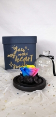 Preserved Eternal Roses in Glass Dome Handmade Dried Real Flower Gift W/Box for Valentine's Day Mother’s Day Anniversary Birthday (Multi-Color)