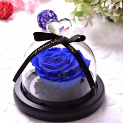 Preserved Eternal Roses in Glass Dome Handmade Dried Real Flower Gift W/Box for Valentine's Day Mother’s Day Anniversary Birthday (Royal Blue)