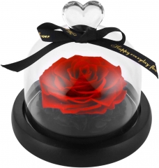 Preserved Eternal Roses in Glass Dome Handmade Dried Real Flower Gift W/Box for Valentine's Day Mother’s Day Anniversary Birthday (Red)